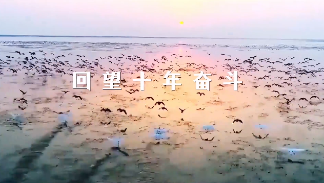 点击查看原图