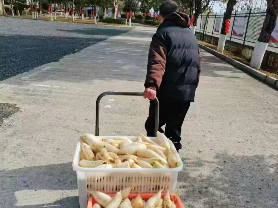 点击查看原图