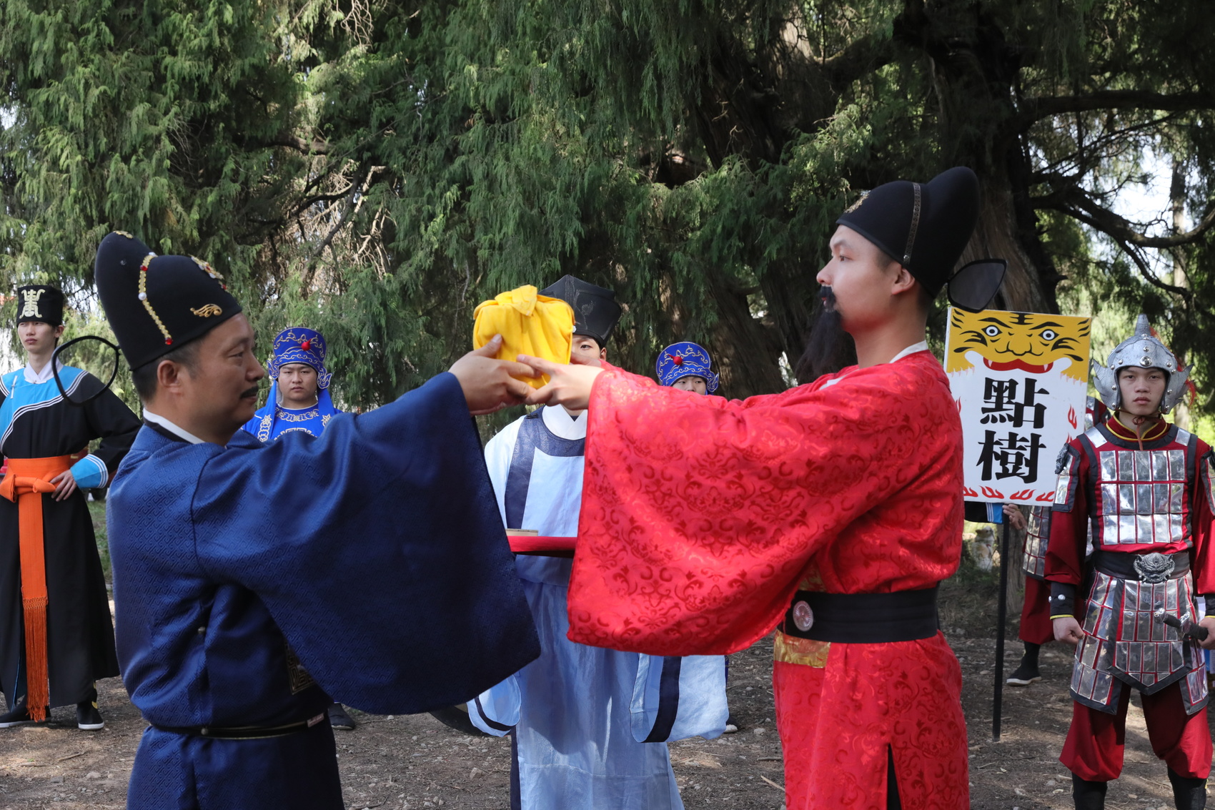 翠云廊景区的《点树交印》沉浸式演出。广元观察 高志农 摄