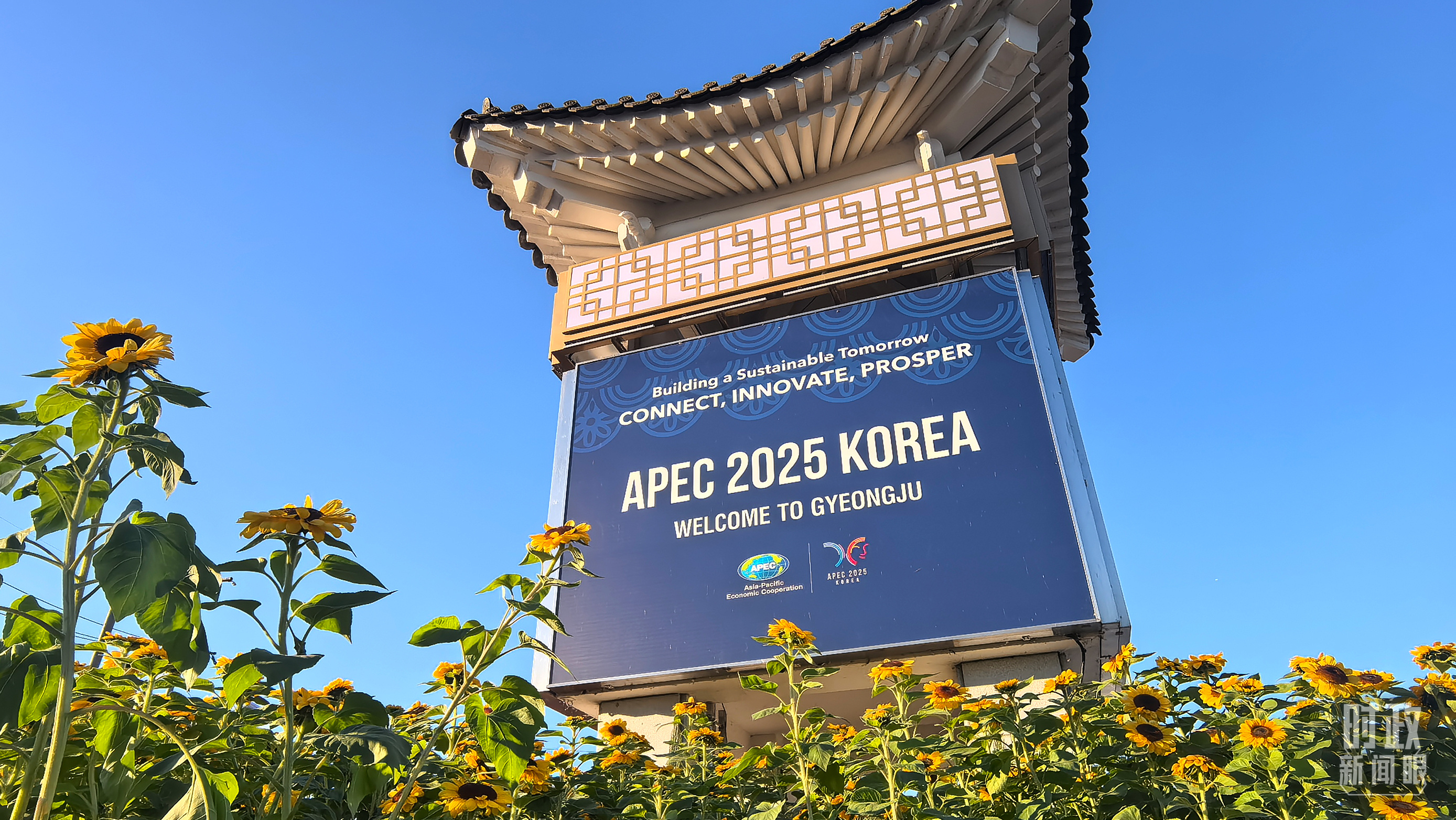 △庆州街头的APEC标语。（总台央视记者张垚拍摄）