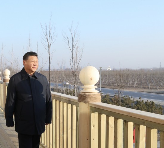 2019年1月16日，在雄安新区“千年秀林”大清河片林一区造林区域，习近平总书记登上秀林驿站二层平台远眺林区全貌。新华社记者 鞠鹏 摄