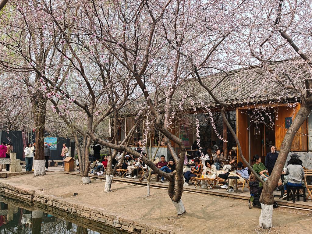 人们在三里河公园赏花休憩（2026年3月24日摄）。新华社记者 陈旭 摄