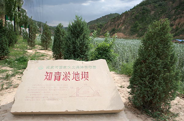 图为陕西省延安市延川县梁家河村知青淤地坝。